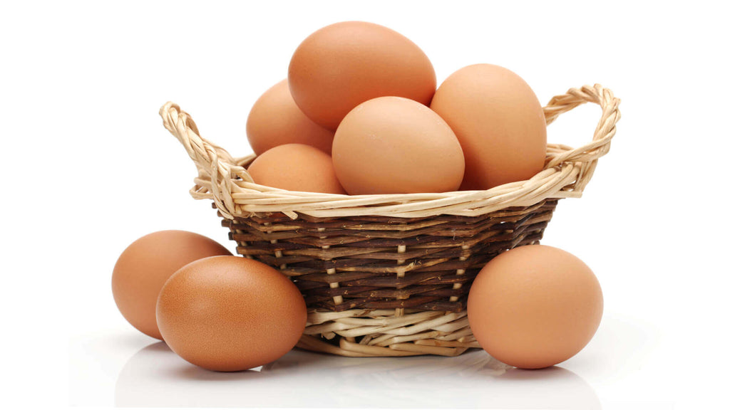 Mennonites Eggs 12pcs - EuroMax Foods The Good Food Store